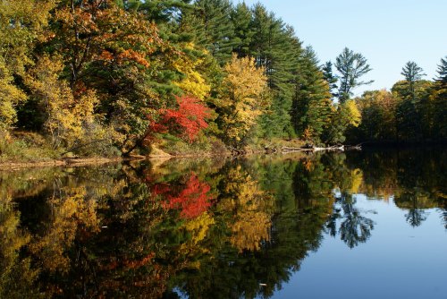 A serene lake surrounded by trees displaying vibrant autumn colors, reflecting beautifully on the water's surface.