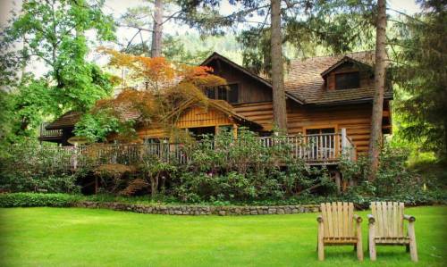 A charming log cabin surrounded by trees and lush greenery, with two wooden chairs in the foreground.