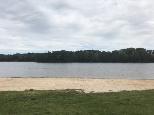 A calm lake with a sandy shore, surrounded by trees under a cloudy sky.