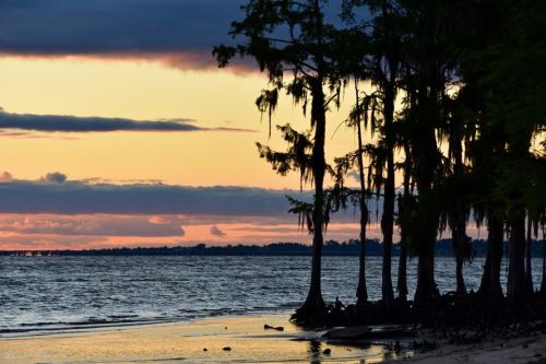 Silhouetted trees by a calm lake at sunset, with colorful clouds reflecting on the water's surface.