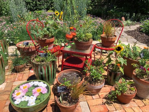 A vibrant garden scene with potted plants, flowers, and two red chairs beside a small table.