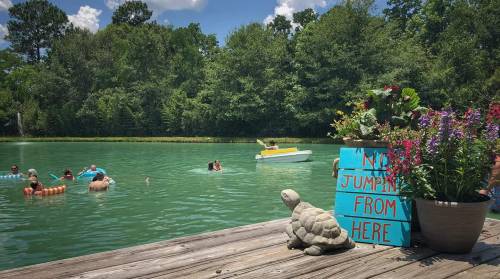 A serene lake scene with people swimming and floating, a sign reading "No Jumping From Here," and colorful flowers in a pot.