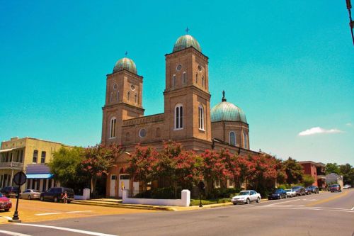 Historic church with two domed towers, surrounded by trees and a clear blue sky, located on a street with parked cars.