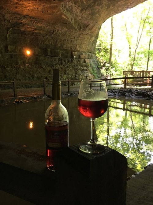 A bottle of wine and a glass sit by a tranquil cave pool, surrounded by lush greenery and soft lighting.