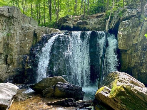 A serene waterfall cascades over rocks, surrounded by lush green trees in a tranquil forest setting.