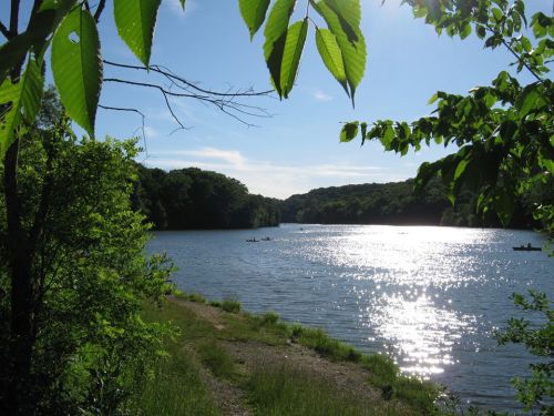 A serene river scene with sparkling water, surrounded by lush greenery and a clear blue sky.