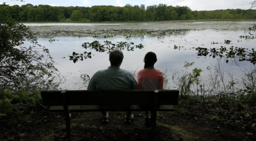 A man and a woman sit on a bench by a serene lake, surrounded by greenery and lily pads.