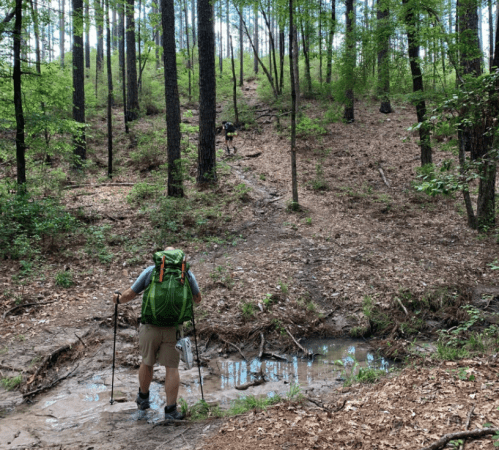 Two hikers navigate a wooded trail, one crossing a small stream, surrounded by tall trees and lush greenery.