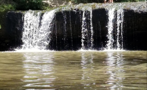 A serene waterfall cascading over rocks into a calm pool, surrounded by lush greenery.