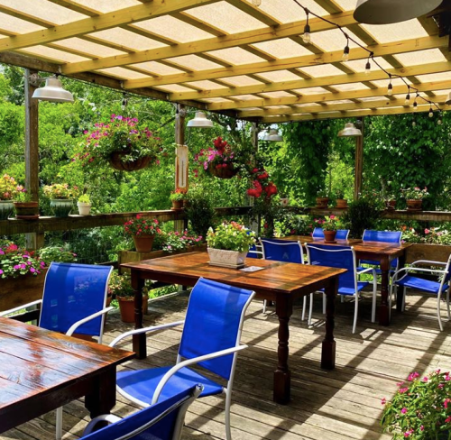 A vibrant outdoor dining area with wooden tables, blue chairs, and lush flower arrangements under a shaded pergola.
