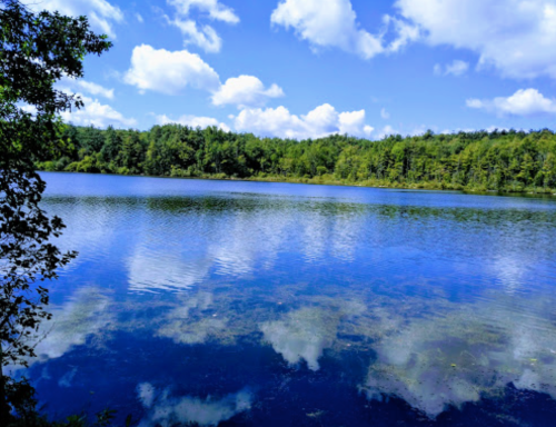 A serene lake reflecting blue skies and fluffy clouds, surrounded by lush green trees.