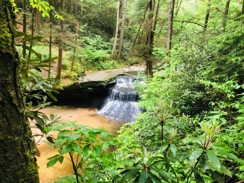 A serene waterfall cascades over rocks, surrounded by lush green trees and foliage in a tranquil forest setting.