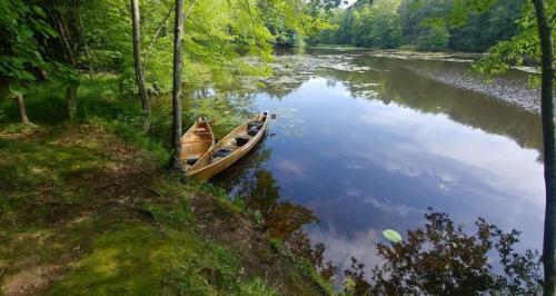A serene lake surrounded by trees, with a canoe moored on the shore and lily pads floating on the water.