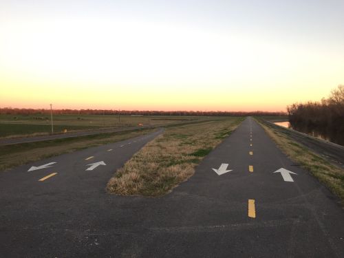 A fork in a paved path with arrows, surrounded by grass and trees, leading towards a sunset sky.