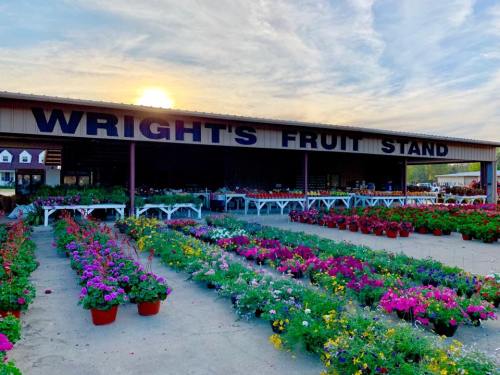 A vibrant fruit stand with colorful flower pots in front, under a sunset sky. "Wright's Fruit Stand" sign visible.