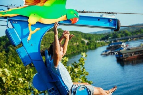 A person joyfully rides a zip line over a scenic landscape with a colorful parrot decoration above.