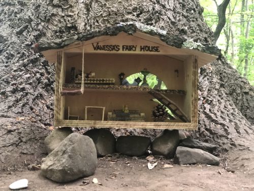 A whimsical fairy house made of wood, nestled against a tree, with small decorations and a pinecone in front.