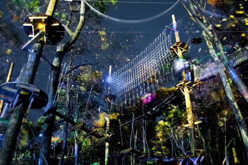 A nighttime view of a treetop adventure course with bridges and platforms illuminated by colorful lights.