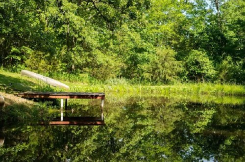 A serene pond surrounded by lush greenery, with a wooden dock reflecting in the calm water.