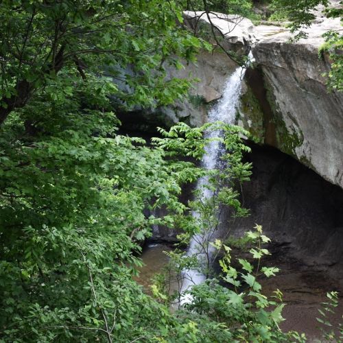 A waterfall cascades down rocky terrain, surrounded by lush green foliage and trees.