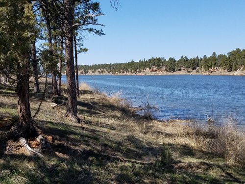 A serene lakeside view with trees lining the shore and a clear blue sky above.
