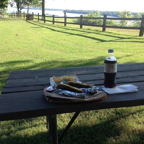 A picnic table with a plate of fries, a hot dog, and a bottle of soda, overlooking a scenic lake view.