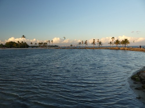 A serene beach scene with calm water, palm trees, and a clear sky, capturing a peaceful coastal landscape.
