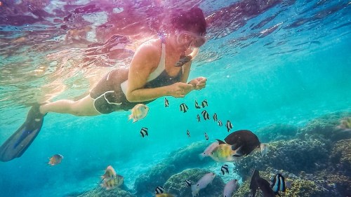 A person snorkeling underwater, surrounded by colorful fish and coral in a clear blue ocean.