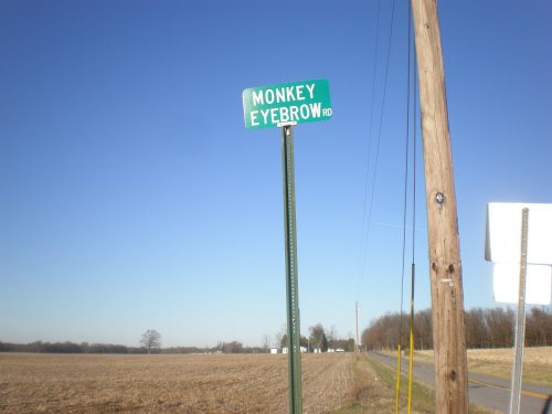 A green street sign reading "Monkey Eyebrow Rd" next to a dirt road in a rural area under a clear blue sky.