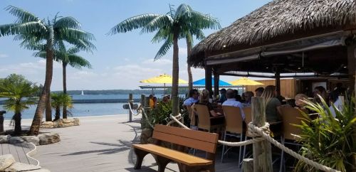 A tropical outdoor dining area with palm trees, a thatched roof, and a view of the water and sailboats in the distance.