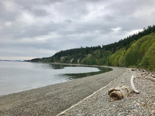 A serene beach scene with a pebbled shore, gentle waves, and a forested hillside under a cloudy sky.