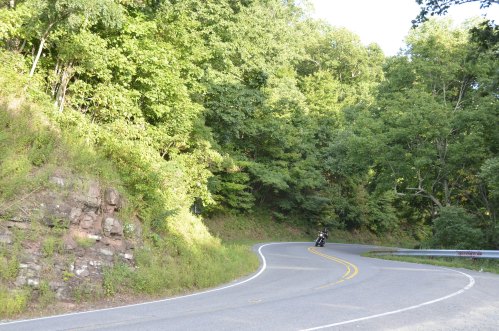 A winding road curves through lush green trees, with a motorcycle riding along the edge.