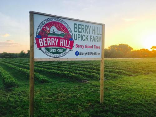 Sign for Berry Hill Upick Farm with a logo, surrounded by green fields at sunset. Text reads "Berry Good Time."