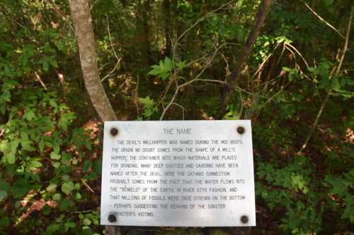 A sign explaining the origin of the name "Devil's Millhopper" in a wooded area, surrounded by trees.