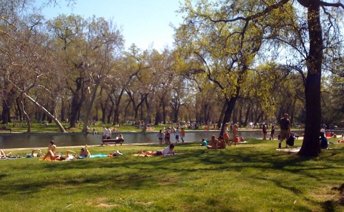 A sunny park scene with people relaxing on the grass near a pond, surrounded by trees and enjoying the outdoors.