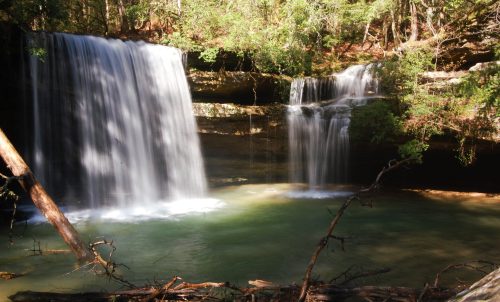 A serene waterfall cascades into a clear pool, surrounded by lush greenery and fallen branches.