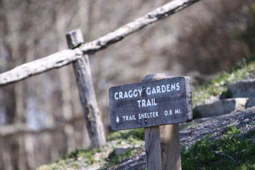 Wooden sign for Craggy Gardens Trail, indicating a trail shelter is 0.8 miles ahead, with a rustic fence in the background.