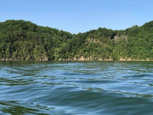 A serene lake with gentle waves, surrounded by lush green hills under a clear blue sky.
