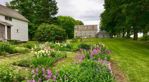 A lush garden filled with colorful flowers, bordered by trees and historic buildings in the background.