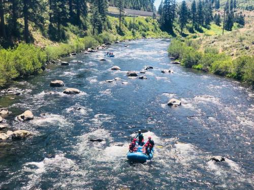 A group of people in a blue raft navigating a rocky river surrounded by lush greenery and trees.