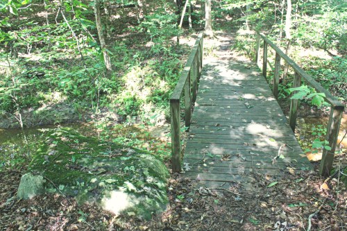 A wooden bridge over a small stream in a lush, green forest with sunlight filtering through the trees.