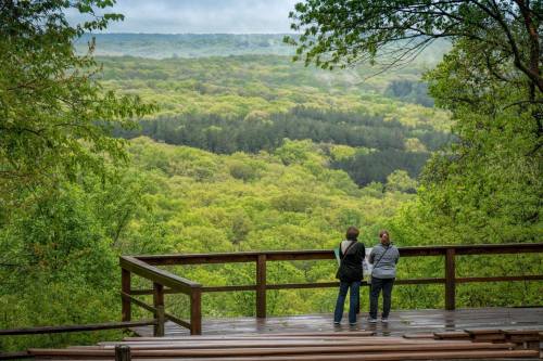 Two people stand on a wooden deck, overlooking a lush green valley filled with trees under a cloudy sky.