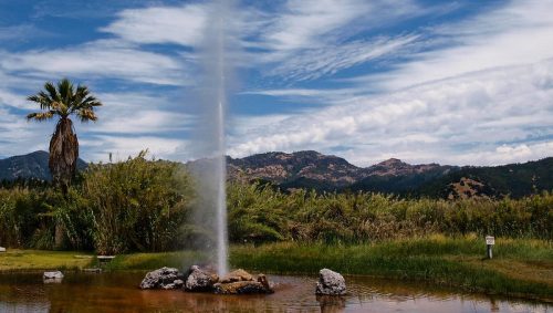 A geyser erupts from a rocky base, surrounded by lush greenery and a palm tree, with mountains and blue sky in the background.