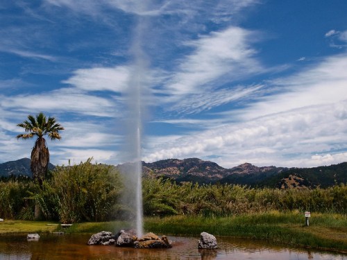 A geyser erupts from a rocky base, surrounded by lush greenery and a palm tree, with mountains and blue skies in the background.