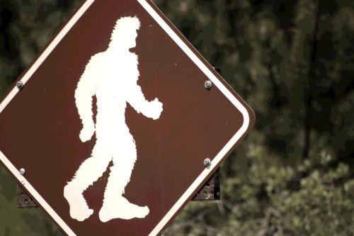 A brown warning sign featuring a silhouette of a walking figure resembling Bigfoot.