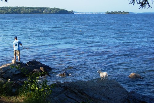 A person fishing on rocky shore with a dog nearby, overlooking a calm blue sea and distant islands.