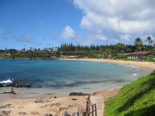 A scenic beach with clear blue water, sandy shore, and lush greenery, featuring people enjoying the sun and swimming.