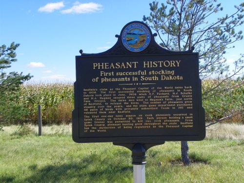 Historical marker about the first successful stocking of pheasants in South Dakota, detailing its significance and history.