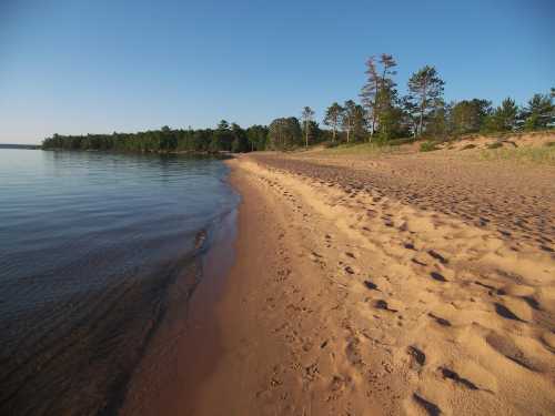 A serene beach with soft sand, gentle waves, and a backdrop of trees under a clear blue sky.