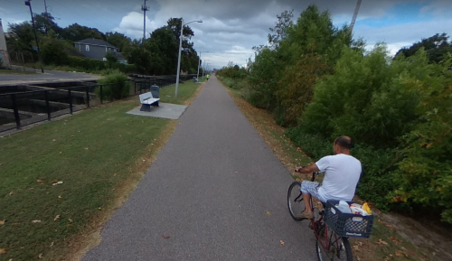 A person rides a bicycle along a paved path surrounded by greenery and trees on a cloudy day.